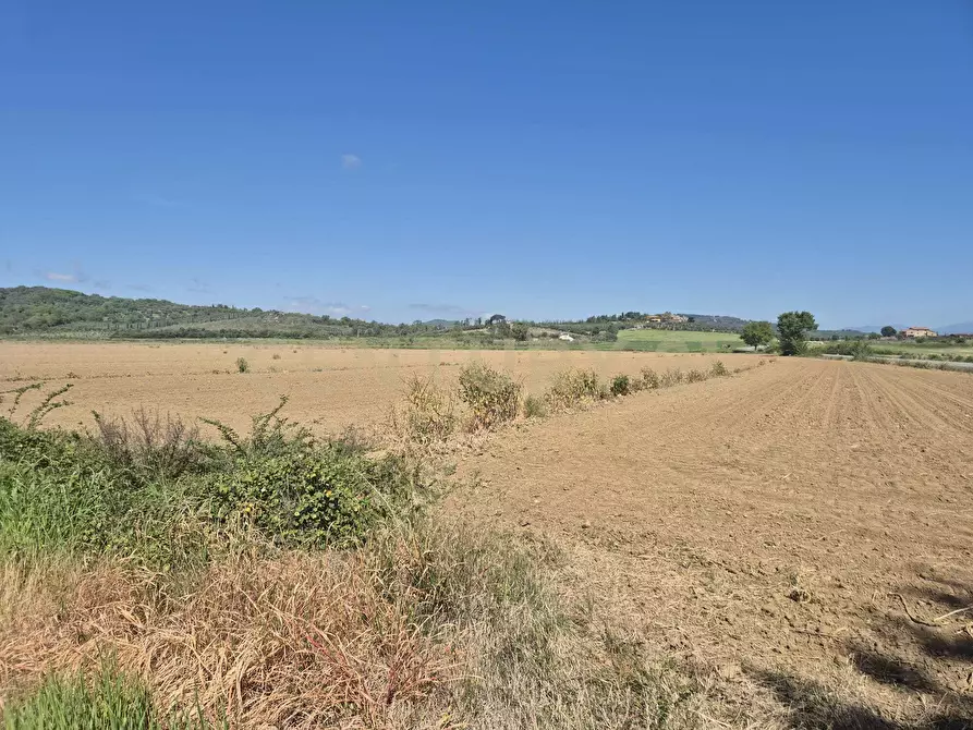 Immagine 13 di Terreno agricolo in vendita  in loc. Badia Vecchia a Castiglione Della Pescaia