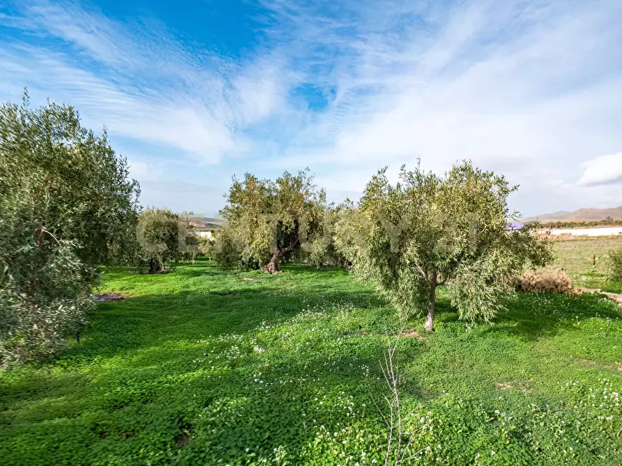 Immagine 7 di Terreno agricolo in vendita  in Contrada San Francesco snc a Paterno'
