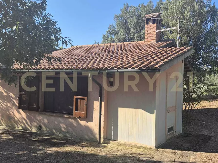 Immagine 29 di Azienda agricola in vendita  in località poggio al capraio snc a Roccastrada