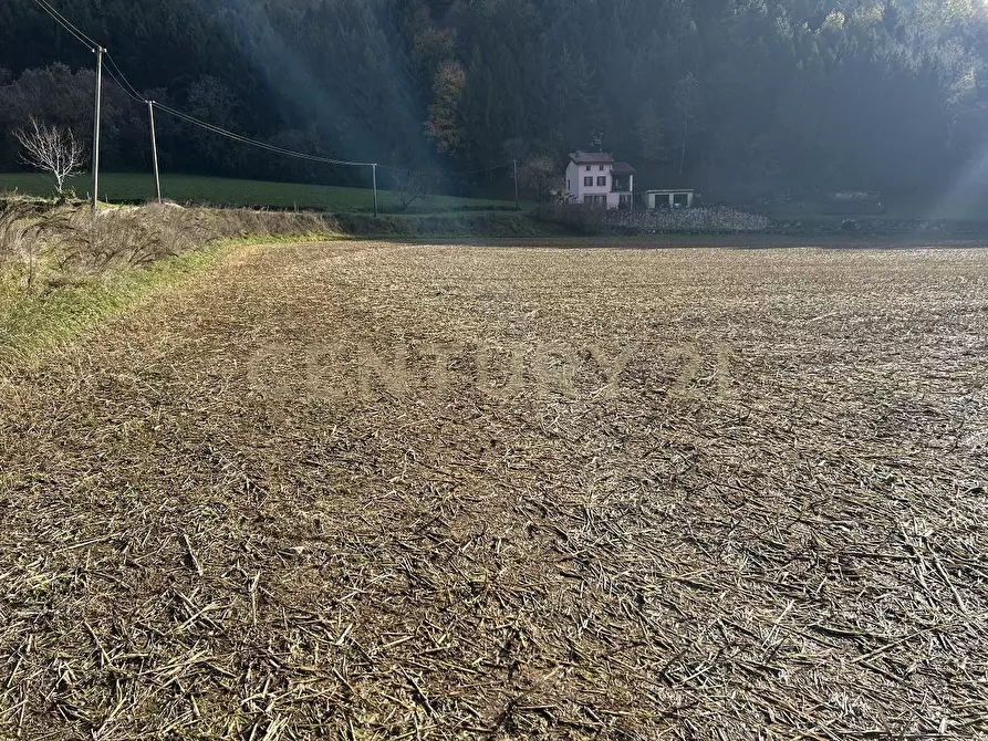 Immagine 7 di Terreno edificabile in vendita  in Via Don Giovanni Calabria a Tregnago
