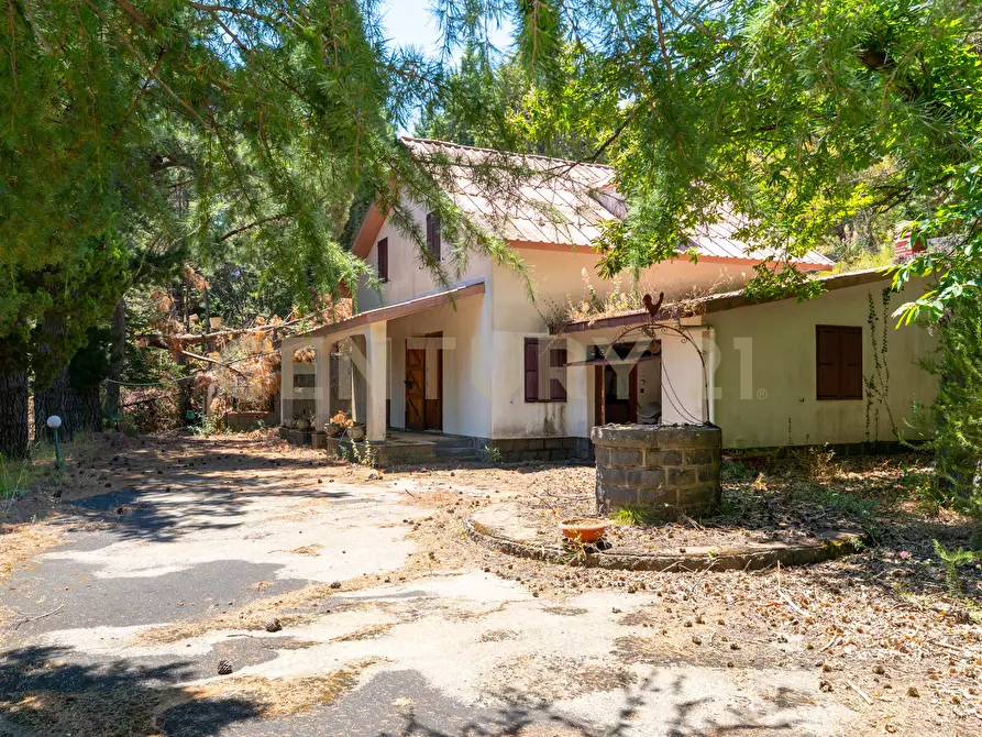 Immagine 27 di Villa in affitto  in Strada Regionale Mareneve SNC a Linguaglossa