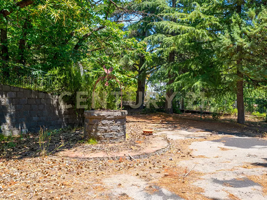 Immagine 14 di Villa in affitto  in Strada Regionale Mareneve SNC a Linguaglossa