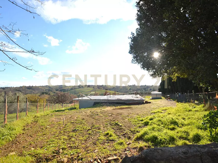 Immagine 25 di Casa bifamiliare in vendita  a Magliano In Toscana