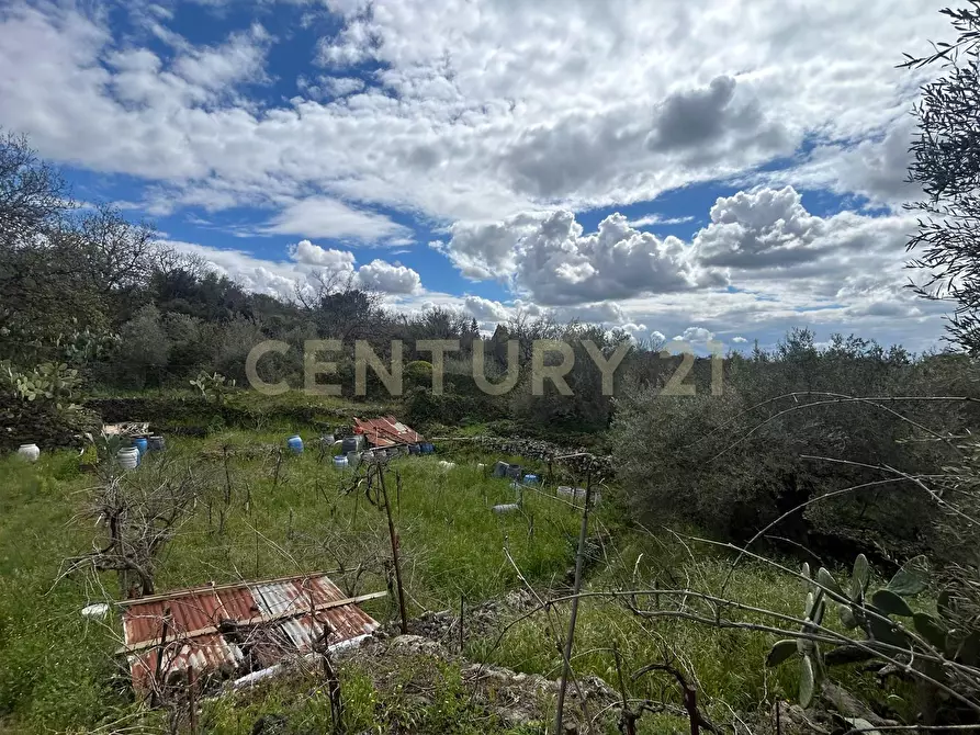 Immagine 22 di Terreno edificabile in vendita  in Viale Giovanni Falcone 9 a Camporotondo Etneo