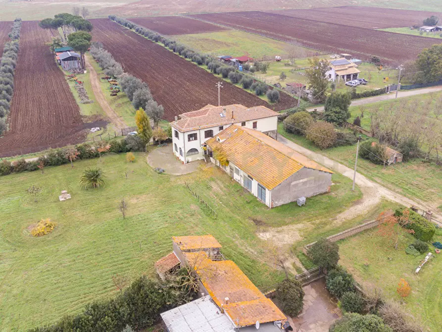 Immagine 25 di Rustico / casale in vendita  in Strada Provinciale Sipiccianese a Bomarzo