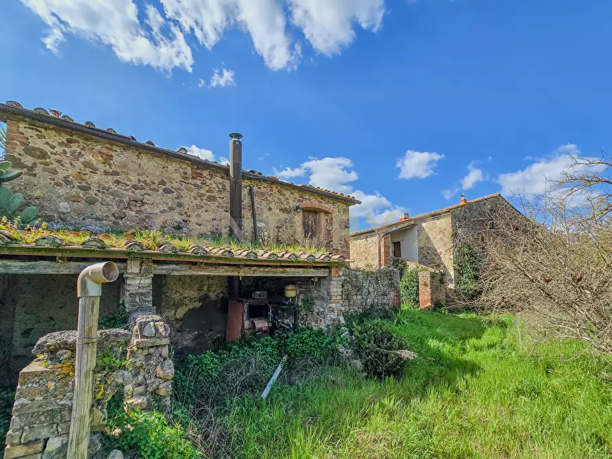 Immagine 15 di Rustico / casale in vendita  in Vial podere nuovo snc a Civitella Paganico