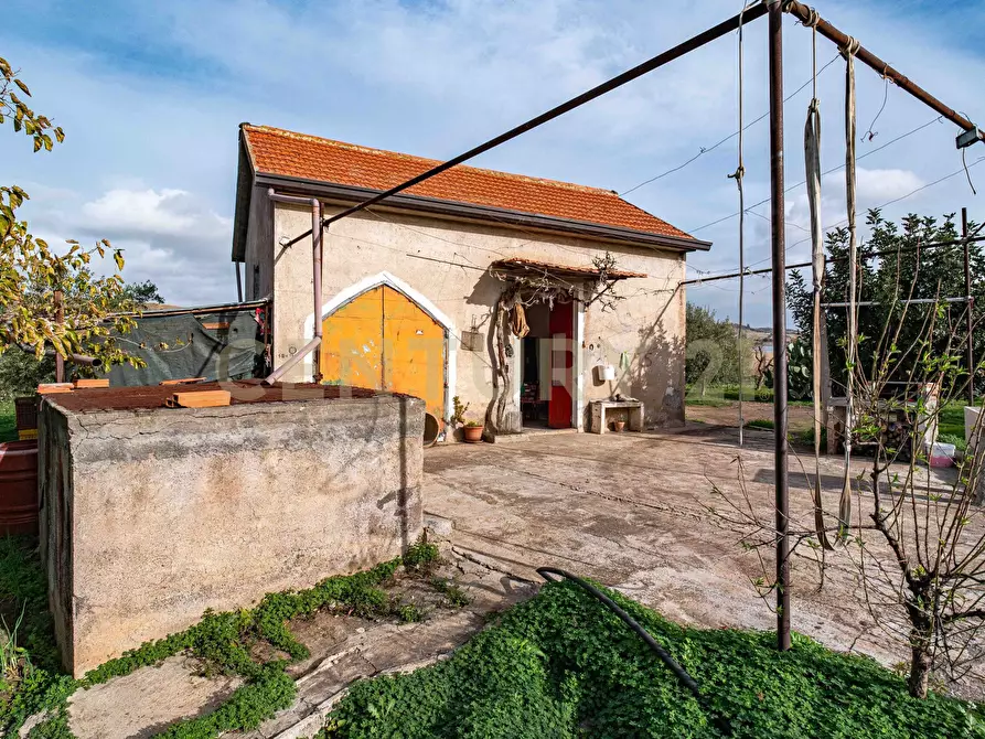 Immagine 18 di Terreno agricolo in vendita  in Contrada San Francesco snc a Paterno'