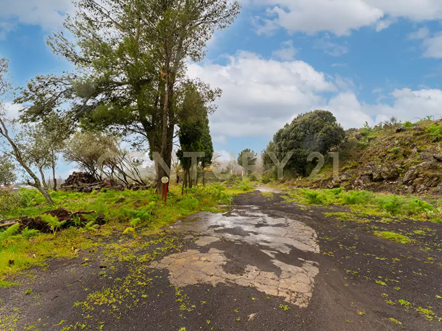 Immagine 42 di Terreno edificabile in vendita  in Via Nocille 55 a Mascali