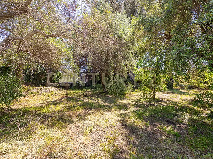 Immagine 9 di Rustico / casale in vendita  in Via Roccamena 84 a Acireale