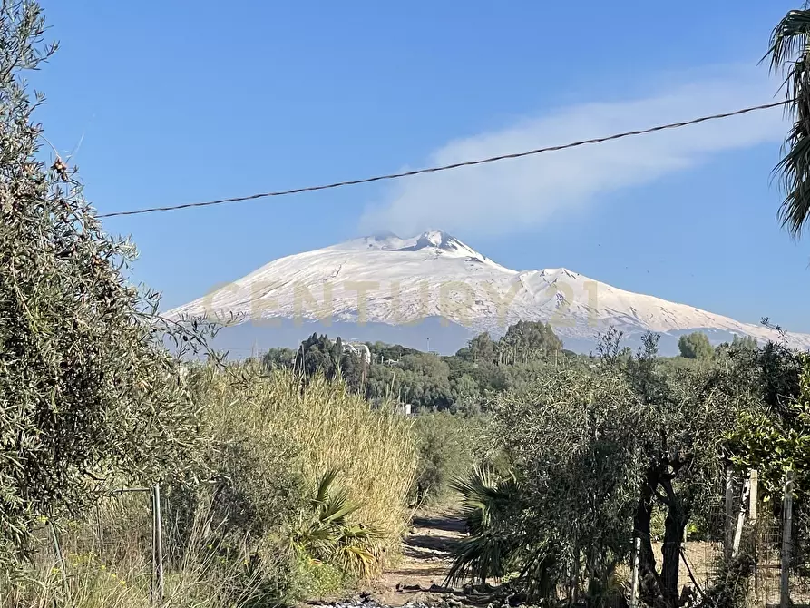 Immagine 6 di Terreno agricolo in vendita  in contrada agnelleria a Belpasso