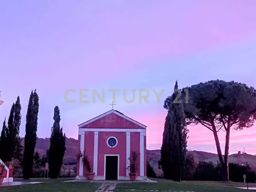 Immagine 4 di Azienda agricola in vendita  in Strada della Sgrilla 16/a a Capalbio
