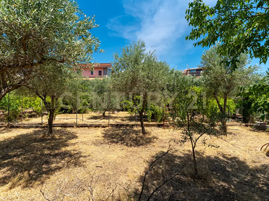 Immagine 41 di Terreno edificabile in vendita  in Via Piano del Conte 21 a Mascalucia