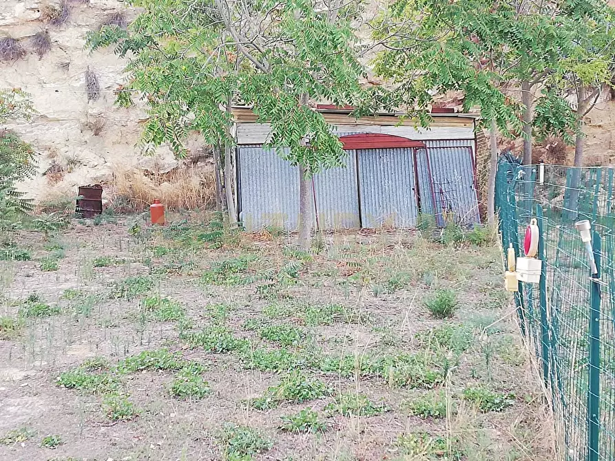 Immagine 4 di Terreno agricolo in vendita  in Contrada Piano Cannata Balatazza a Piazza Armerina