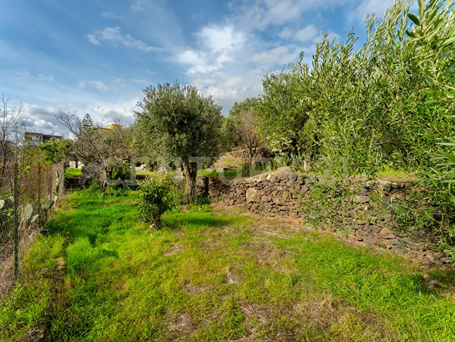 Immagine 22 di Terreno agricolo in vendita  in Via Cerza 35 a San Gregorio Di Catania