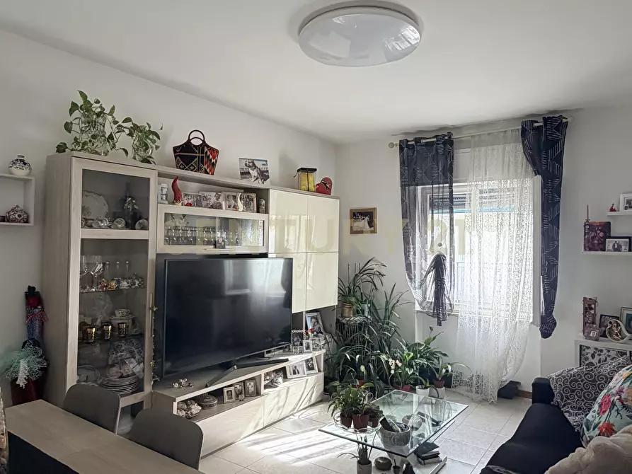 Immagine 4 di Quadrilocale in vendita  in Via Trento 20 a Follonica