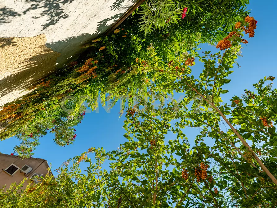 Immagine 3 di Villa in vendita  in BAIA ARCILE a Augusta