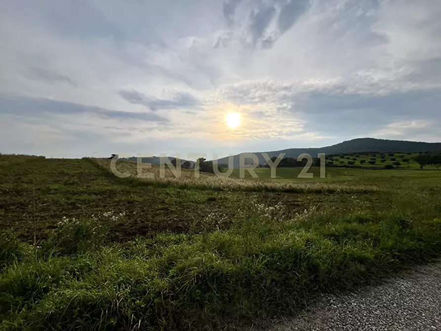 Immagine 1 di Terreno agricolo in vendita  in Località le Case a Grosseto