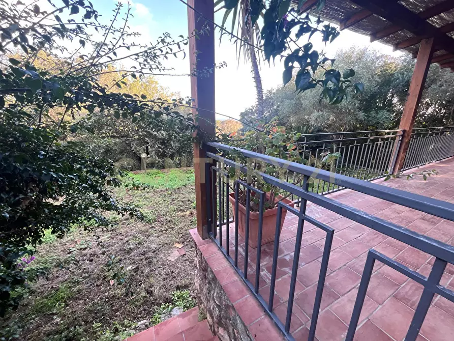 Immagine 13 di Villa in vendita  in Via delle Ginestre 80 a Orbetello