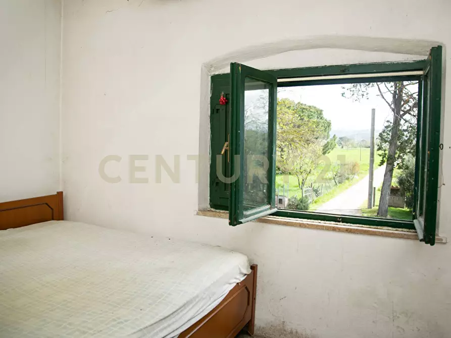 Immagine 12 di Rustico / casale in vendita  a Civitella Paganico