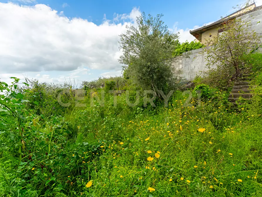 Immagine 45 di Appartamento in vendita  in Via Pompeo Vecchio 29 a Mascalucia