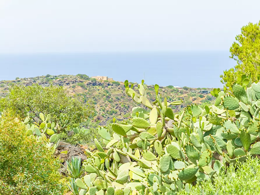 Immagine 34 di Casa indipendente in vendita  in 91017 Pantelleria TP a Pantelleria