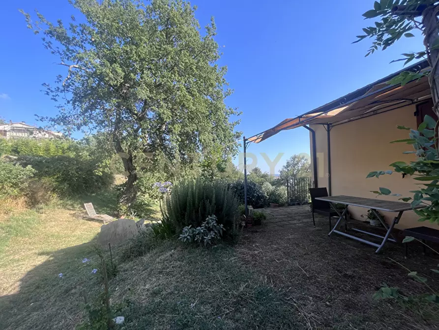 Immagine 18 di Azienda agricola in vendita  in Strada dei Sassi Bianchi a Manciano