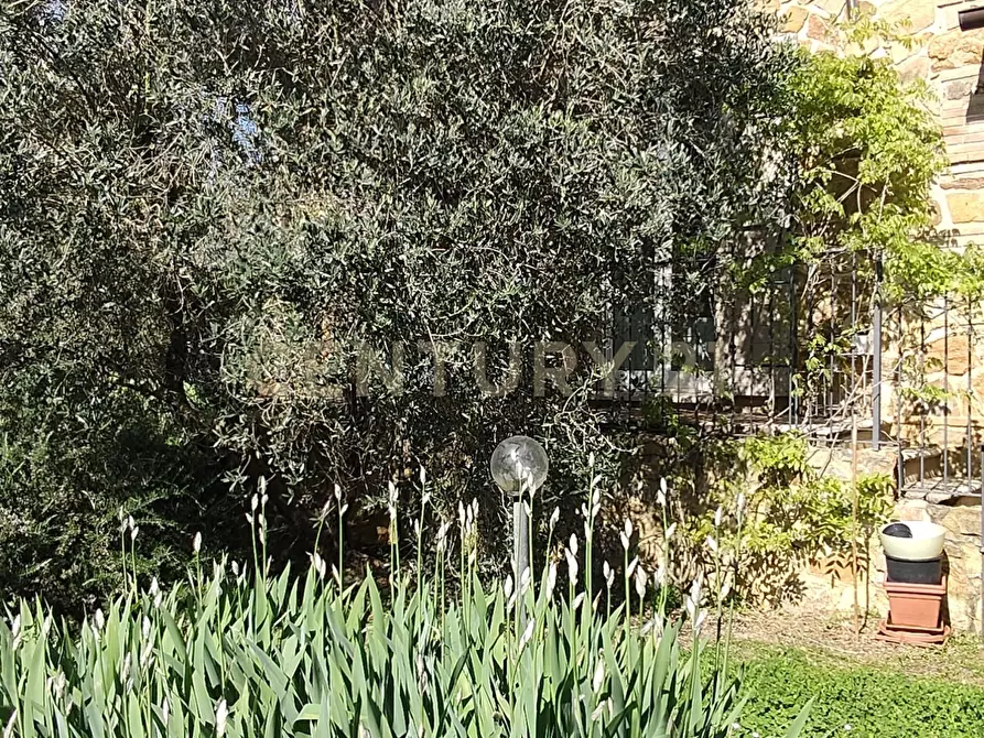 Immagine 16 di Rustico / casale in vendita  in località spinicci snc a Manciano