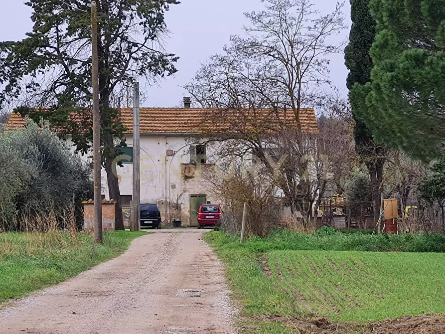 Immagine 20 di Rustico / casale in vendita  a Civitella Paganico