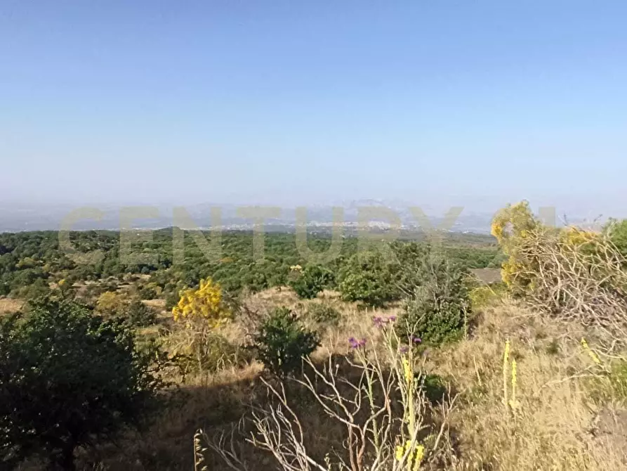 Immagine 47 di Terreno agricolo in vendita  in C.da Filiciusa a Biancavilla
