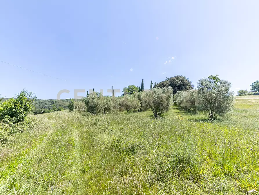 Immagine 34 di Rustico / casale in vendita  in Via Tiberina 384 a Narni
