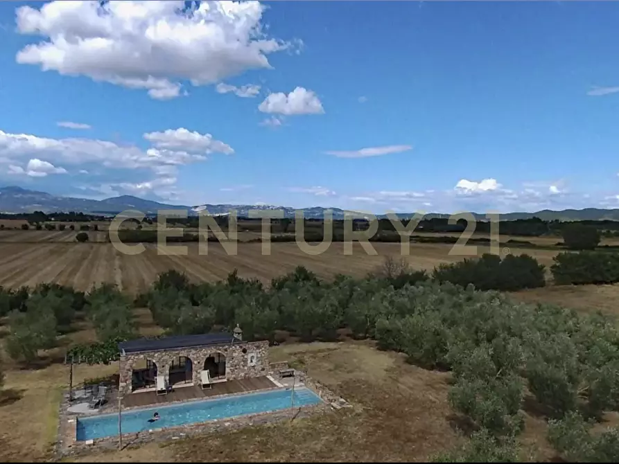 Immagine 10 di Rustico / casale in vendita  in località podere dogana a Roccastrada