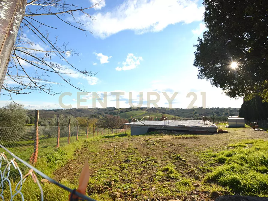 Immagine 26 di Casa bifamiliare in vendita  a Magliano In Toscana