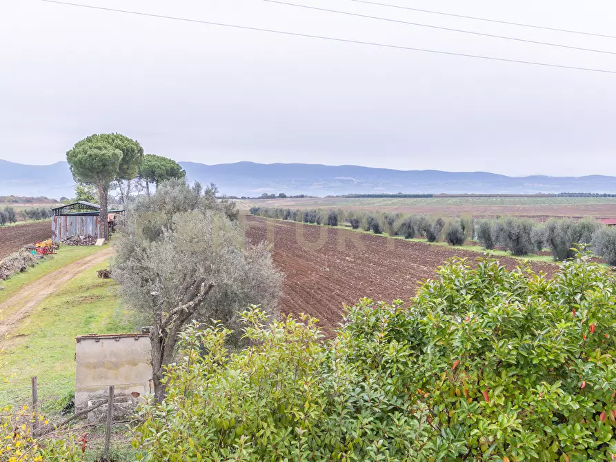 Immagine 30 di Rustico / casale in vendita  in Strada Provinciale Sipiccianese a Bomarzo