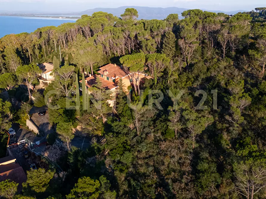 Immagine 13 di Porzione di casa in vendita  in Via Costa degli Ulivi a Monte Argentario