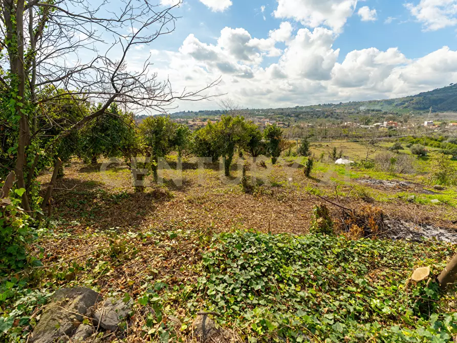 Immagine 4 di Terreno agricolo in vendita  in via giuseppe zinghirino 1 a Giarre