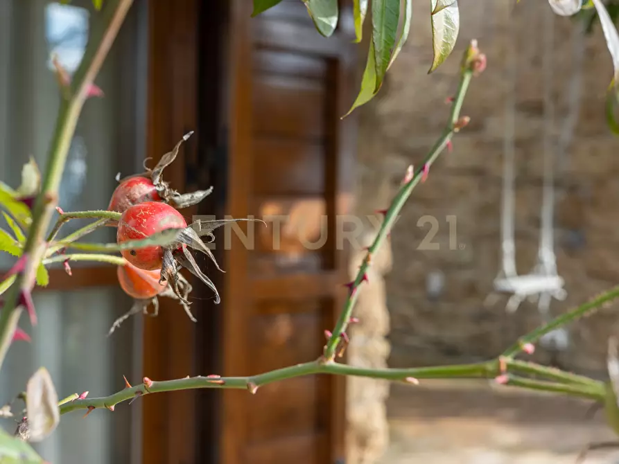 Immagine 28 di Villa in vendita  in Località Campo Rotondo snc a Capranica