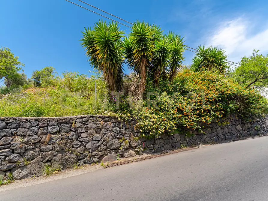 Immagine 8 di Terreno agricolo in vendita  in Via Vampolieri 14 a Aci Castello