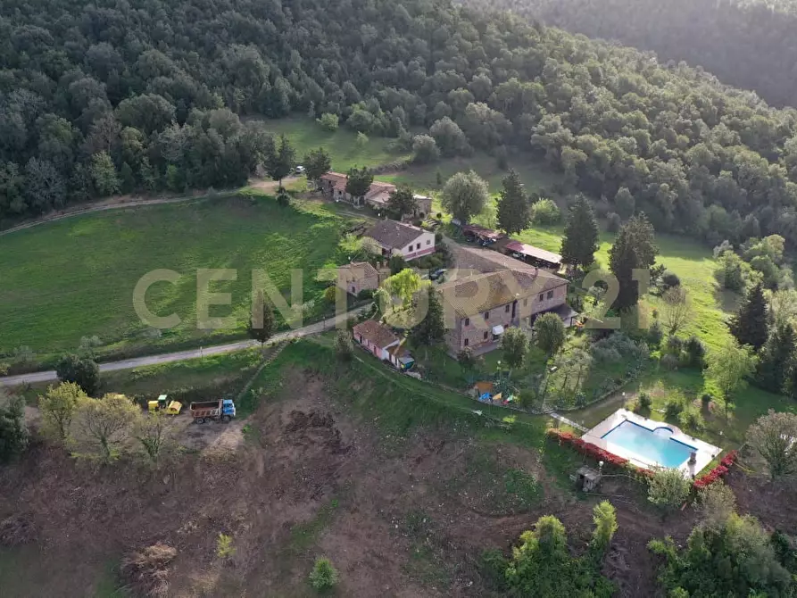 Immagine 51 di Rustico / casale in vendita  in agriturismo lampugnano 47 a Civitella Paganico