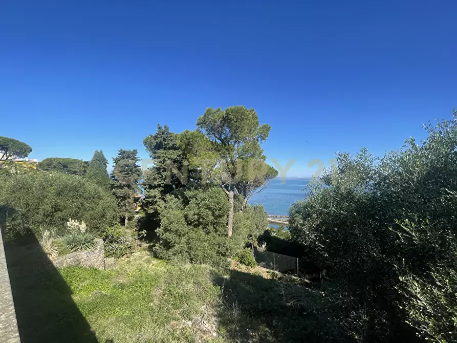 Immagine 9 di Villa in vendita  in località santa liberata a Monte Argentario