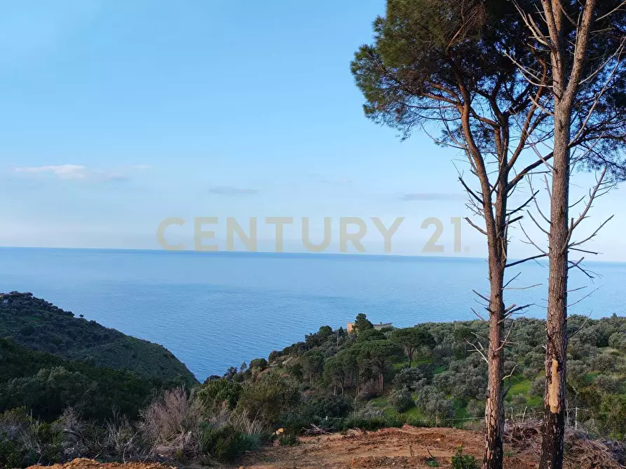Immagine 21 di Attività artigianale in vendita  in Via Santisi a Motta D'affermo
