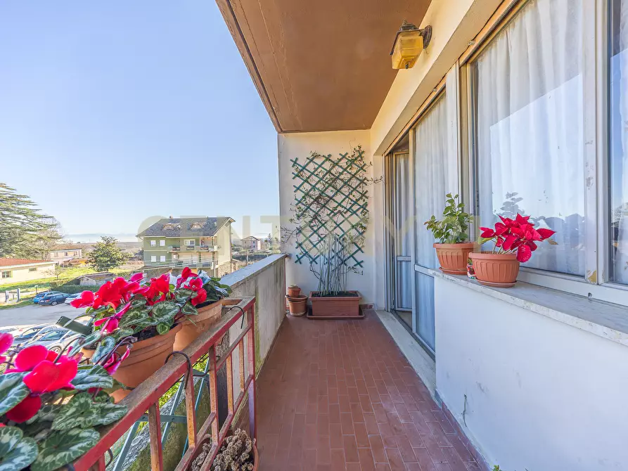 Immagine 31 di Quadrilocale in vendita  in Via Sardegna a Ronciglione