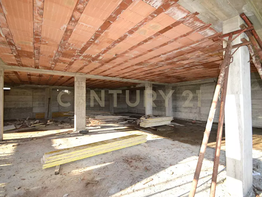 Immagine 20 di Villa in vendita  a Magliano In Toscana