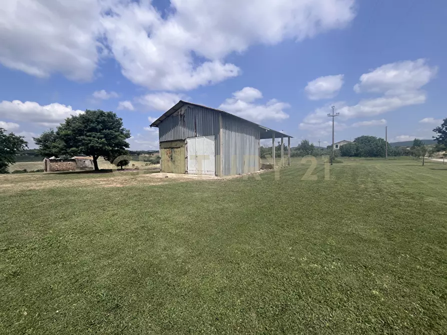 Immagine 14 di Rustico / casale in vendita  in Via Case Sparse a Scansano