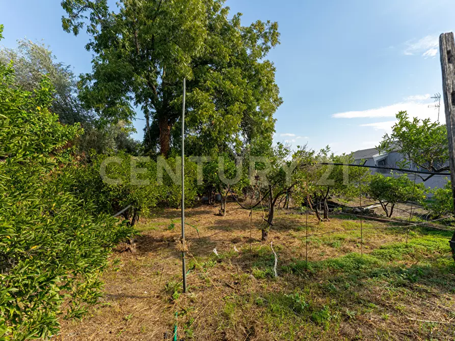 Immagine 11 di Villa in vendita  in Via di Bartolo a San Gregorio Di Catania