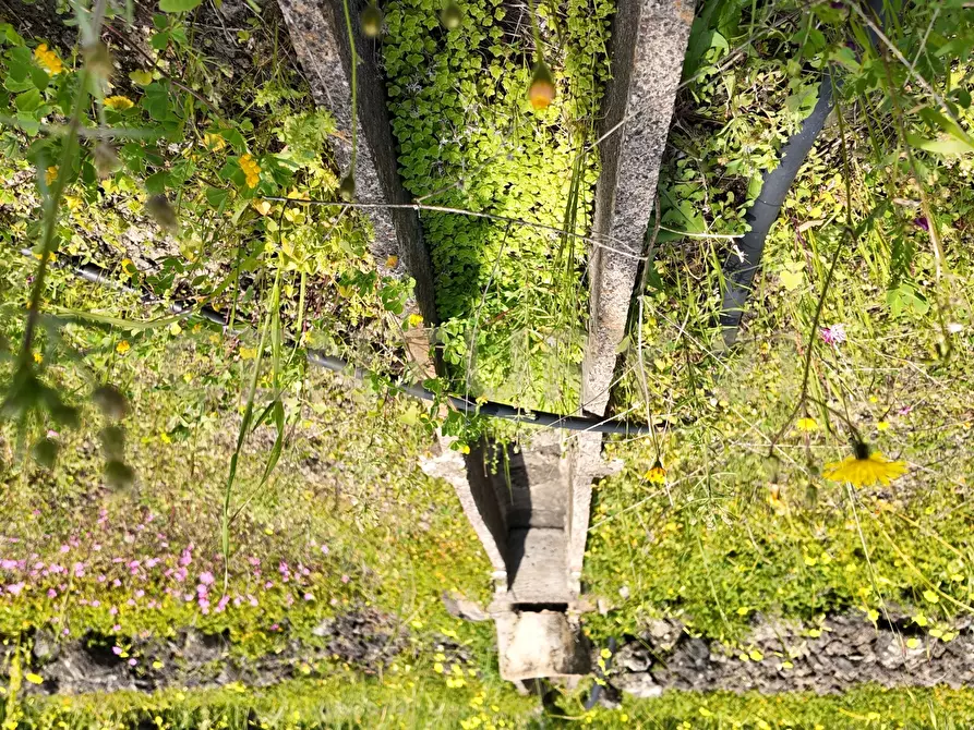 Immagine 11 di Terreno agricolo in vendita  in Contrada malvezzaro a Santa Maria Di Licodia