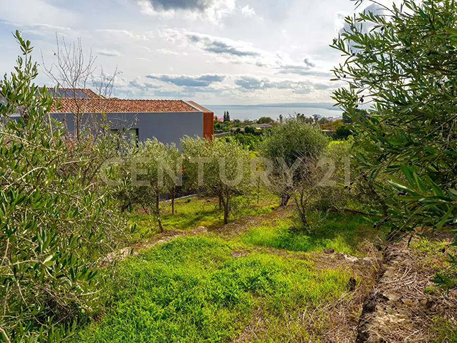 Immagine 27 di Terreno agricolo in vendita  in Via Cerza 35 a San Gregorio Di Catania