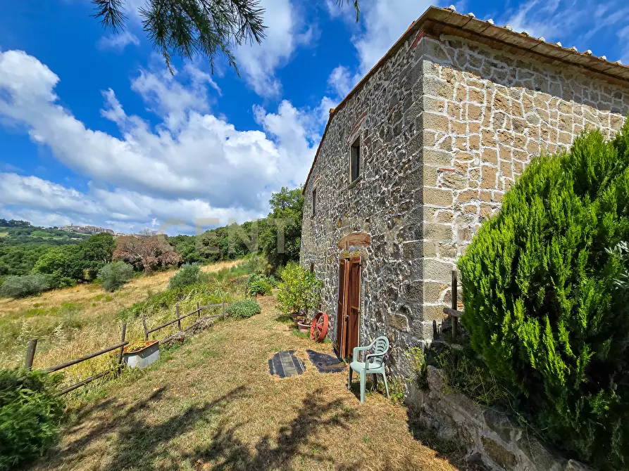 Immagine 3 di Rustico / casale in vendita  in podere le rocchette snc a Roccastrada