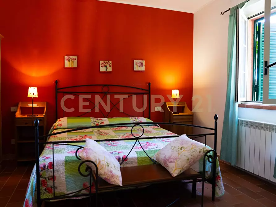 Immagine 36 di Rustico / casale in vendita  a Cinigiano