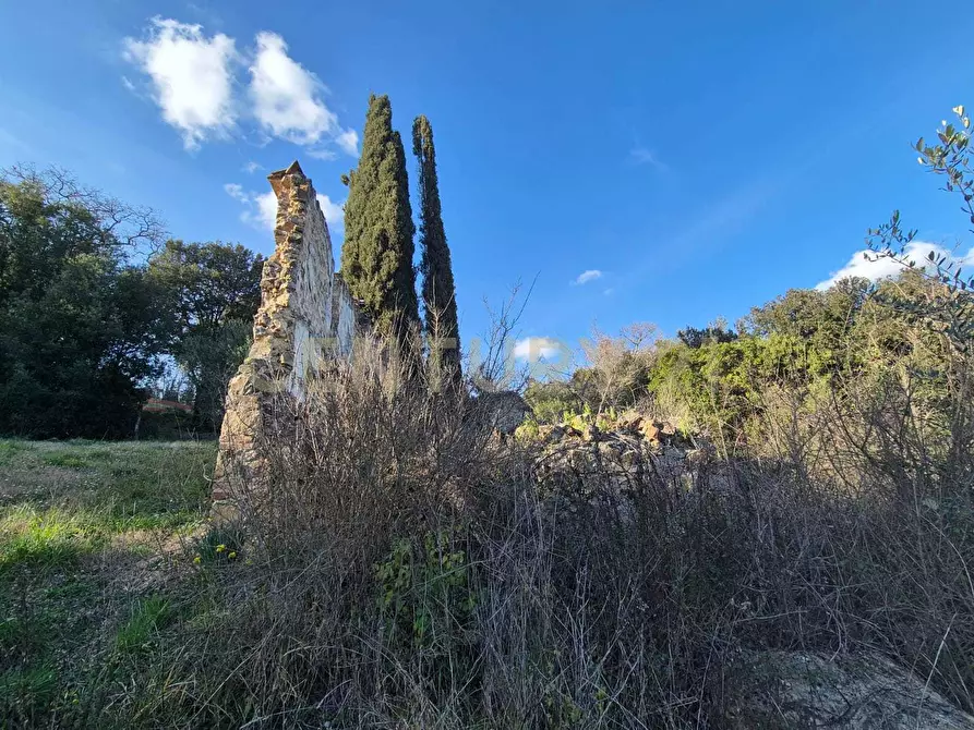 Immagine 7 di Rustico / casale in vendita  in loclaità fontepalma snc a Civitella Paganico