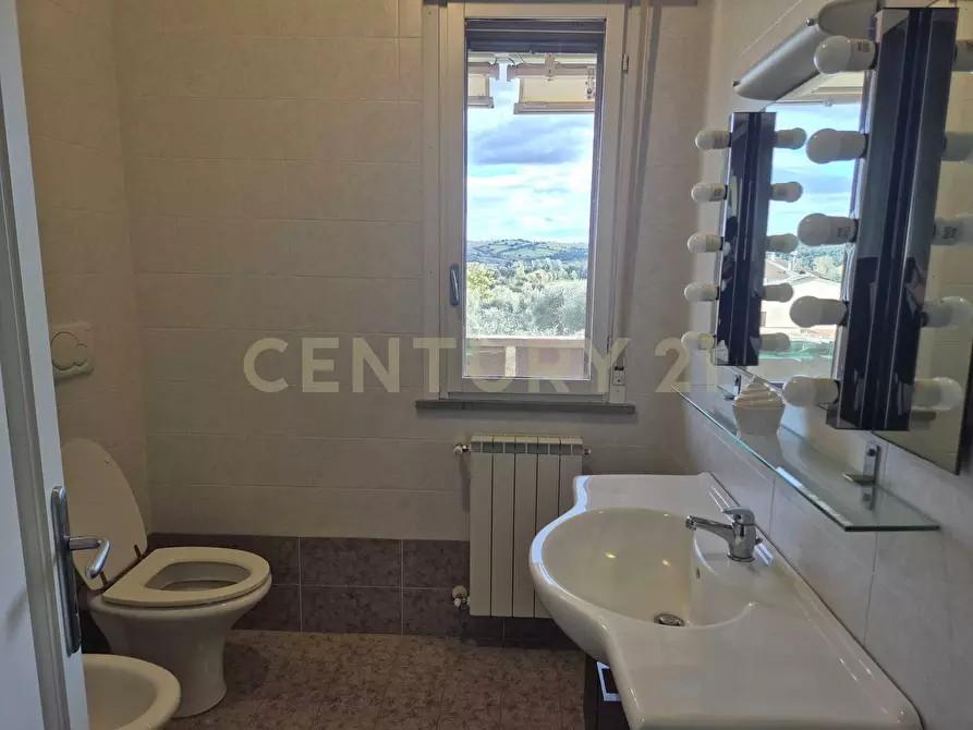 Immagine 31 di Terratetto in vendita  in via fratelli matteini 9 a Grosseto